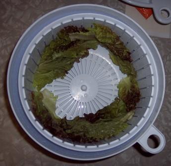 Salad spinner